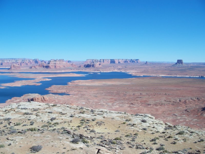_1467.jpg