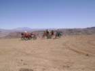 dsc01464_small.jpg