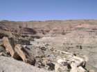 dsc01474_small.jpg