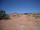 dscn0010_small.jpg