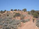 dscn0022_small.jpg