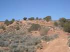 dscn0023_small.jpg