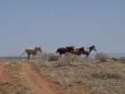 dscn0036_small.jpg