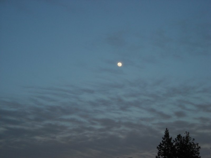 dscn0058.jpg