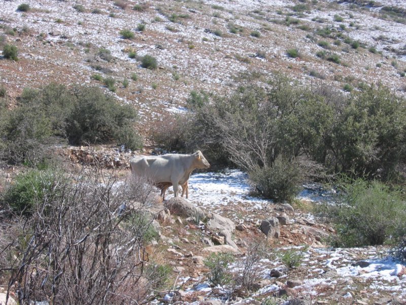 img_4087.jpg