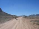 img_4166_small.jpg