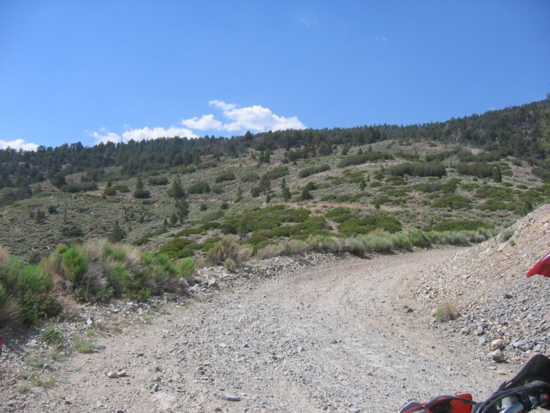 bbtrbigbearrun200821.jpg