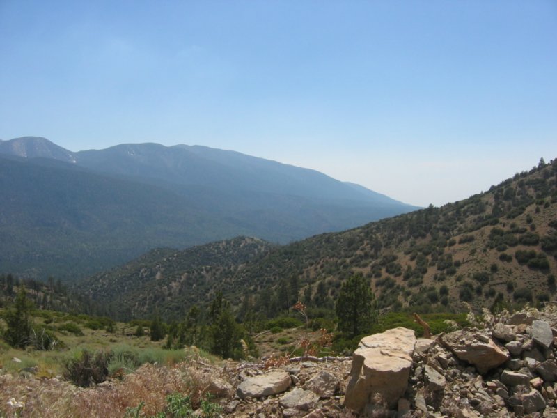 bbtrbigbearrun200822.jpg
