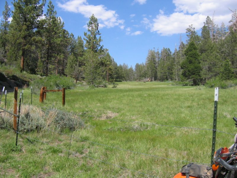 bbtrbigbearrun200824.jpg