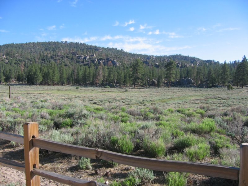 bbtrbigbearrun200836.jpg