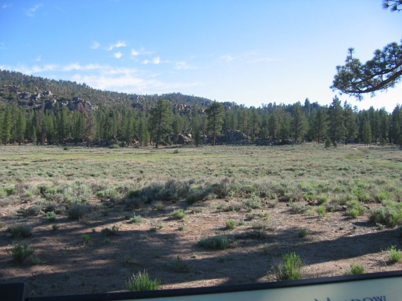 bbtrbigbearrun200838.jpg