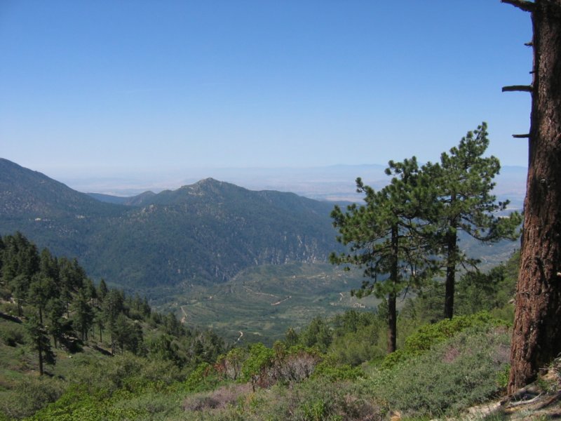 bbtrbigbearrun200848.jpg