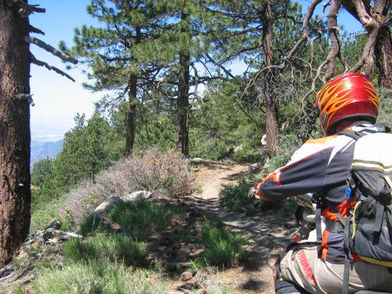 bbtrbigbearrun200849.jpg